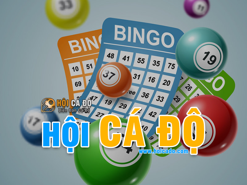 Hội Cá Độ Lớn Nhất Việt Nam