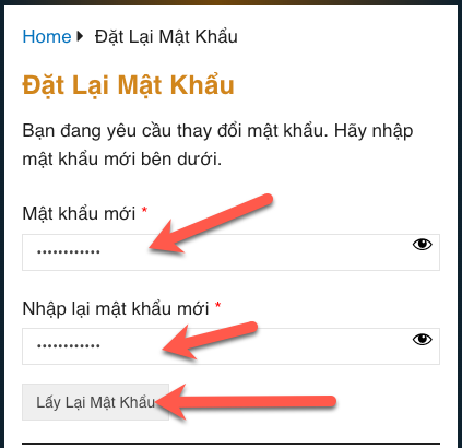 Lấy Lại Mật Khẩu tài khoản Hội Cá Độ