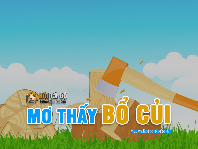 Mơ thấy bổ củi đánh con gì ?