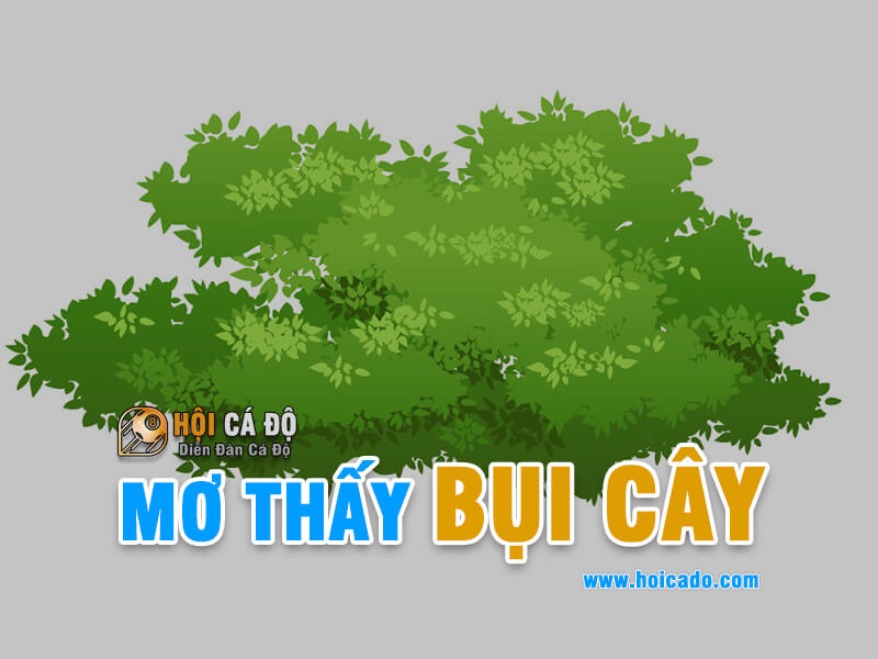 Ý nghĩa giấc mơ thấy bụi cây