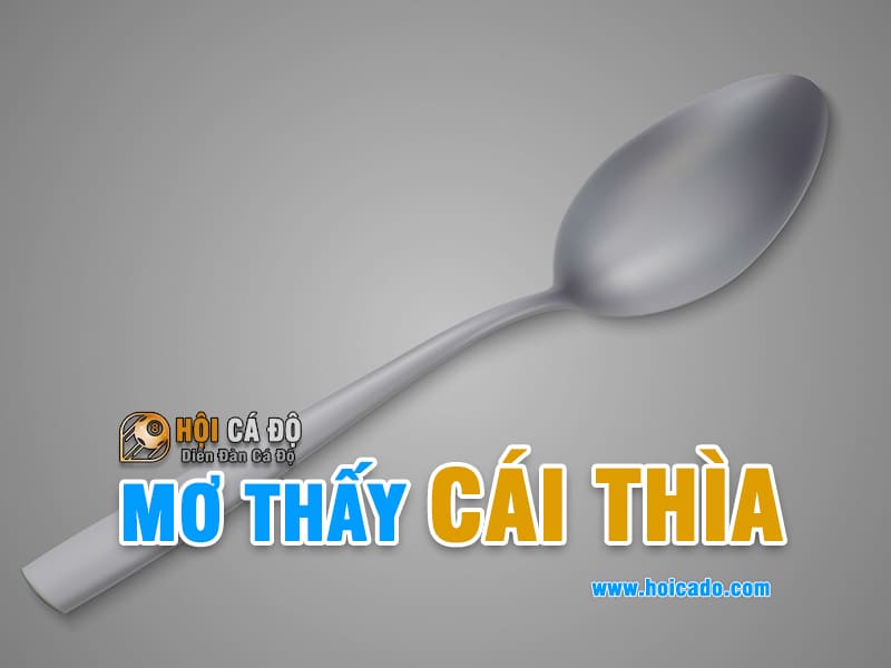 Ngủ mơ thấy cái thìa đánh con gì ?