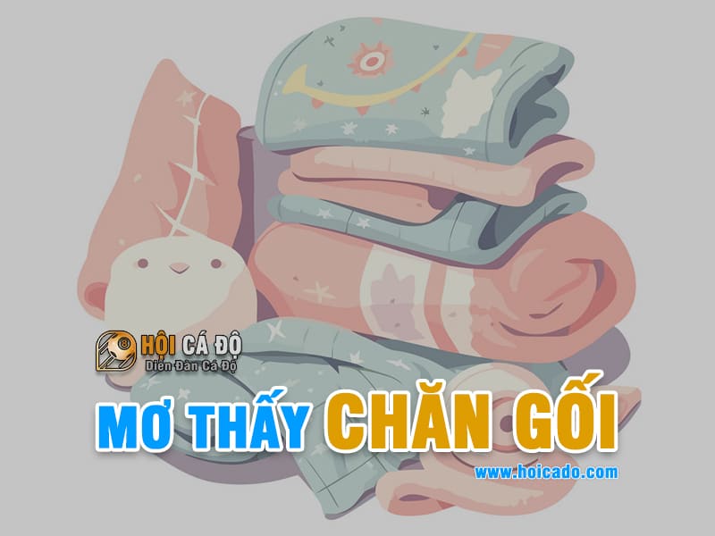 Mơ thấy chăn gối đánh con gì ?