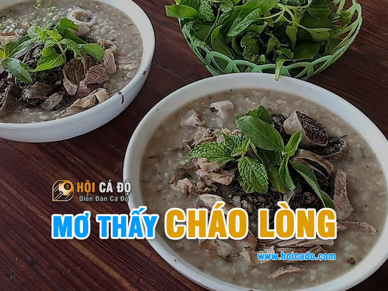 Ngủ mơ thấy cháo lòng đánh con gì ?