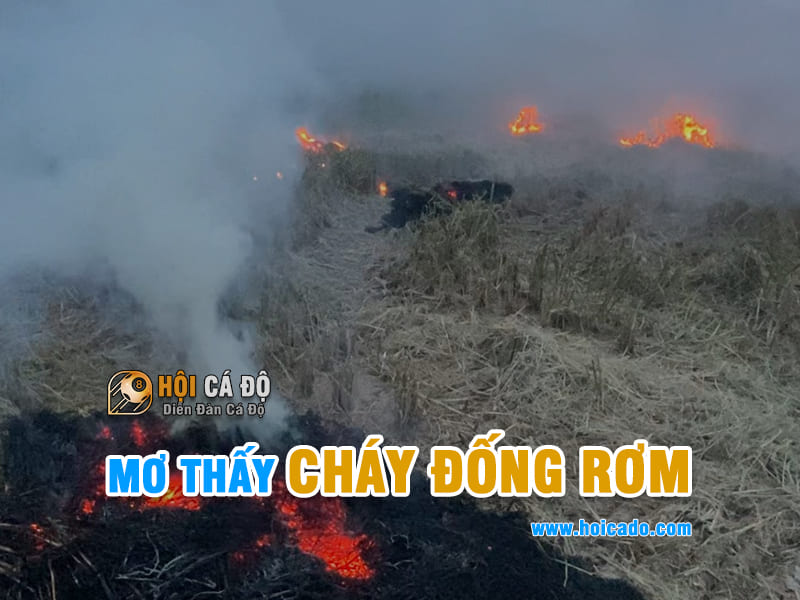 Giải mã điềm báo mơ cháy đống rơm