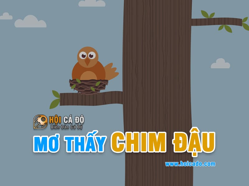 Giải mã điềm báo mơ thấy chim đậu