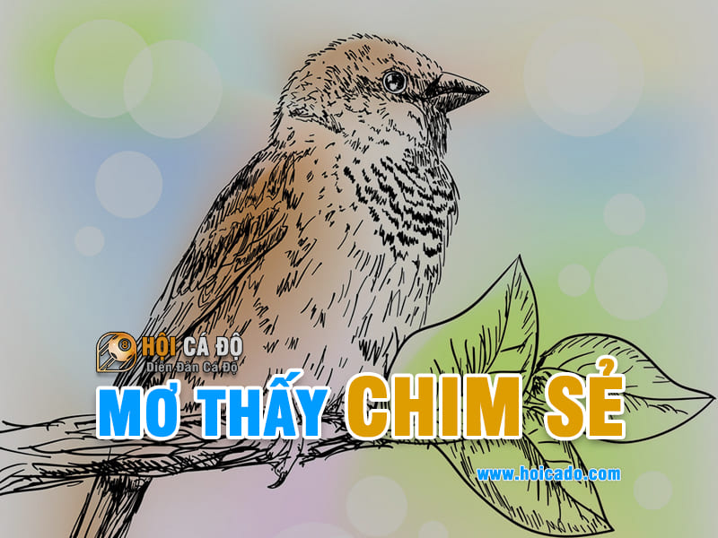 Phân tích điềm báo mơ thấy chim sẻ