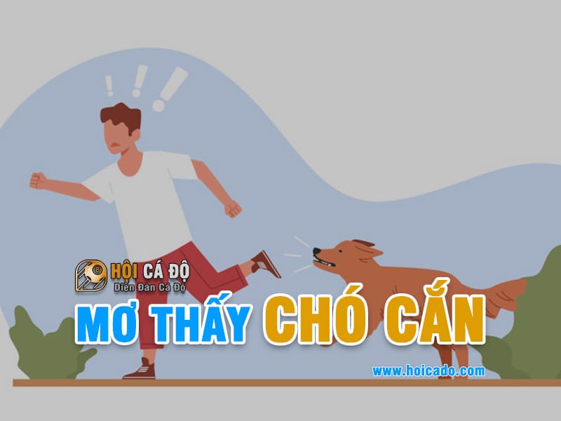 Mơ thấy chó cắn đánh lô đề số nào ?