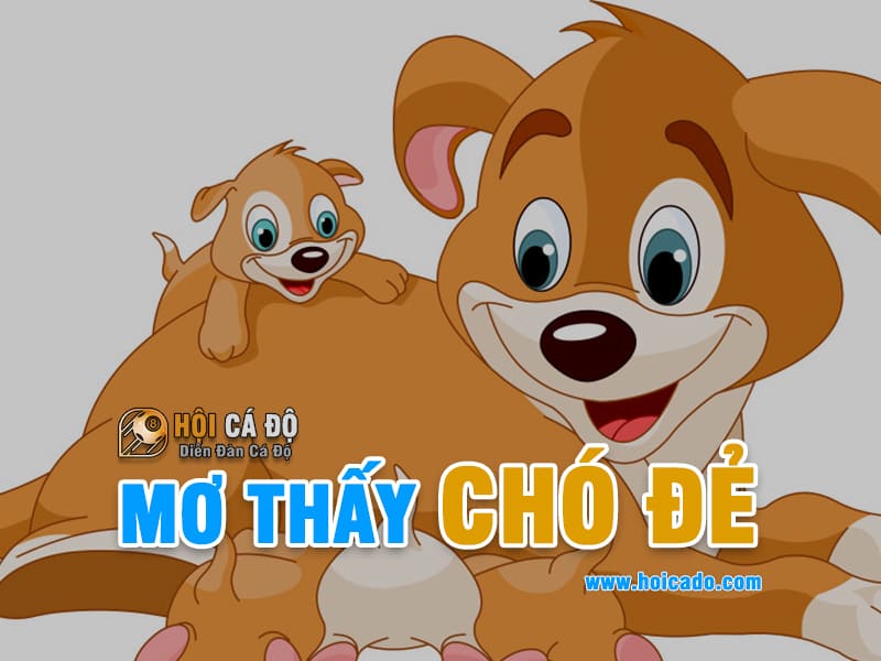 Giải mộng giấc mơ thấy chó đẻ