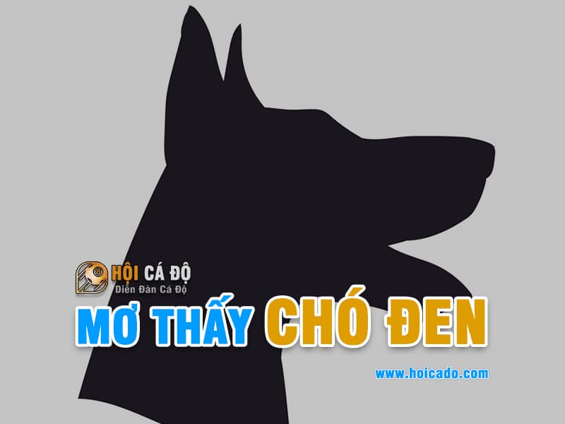 Phân tích điềm báo mơ thấy chó đen