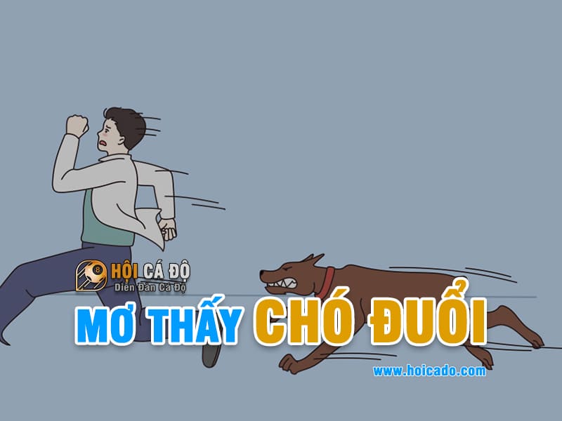Phân tích điềm báo mơ bị chó đuổi