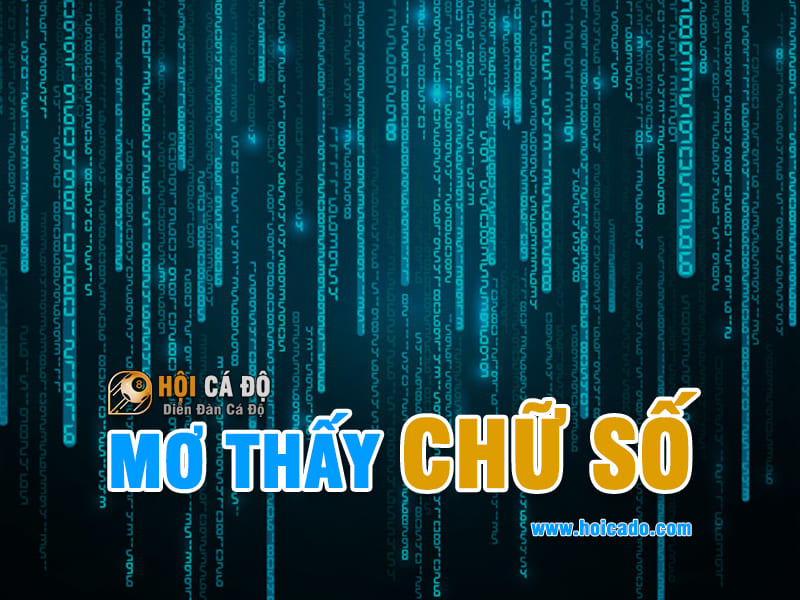 Ngủ mơ thấy Số đánh con gì ?