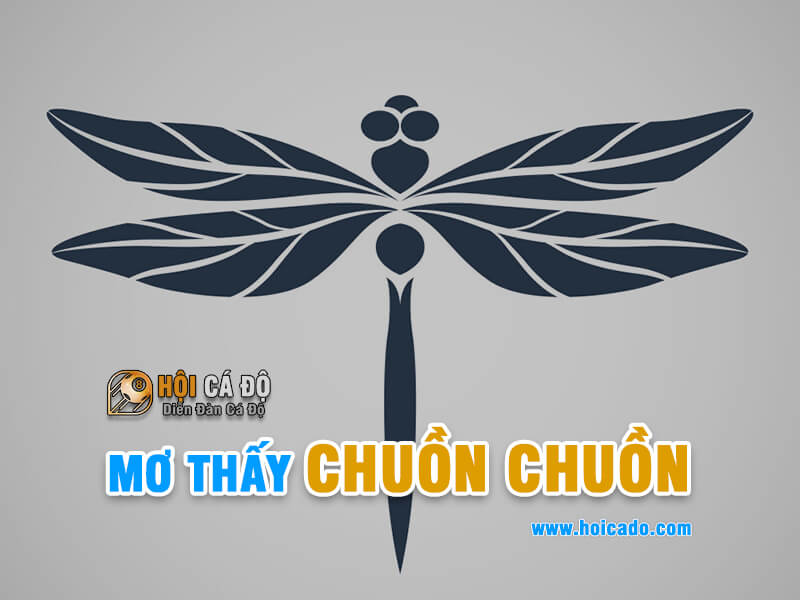 Ngủ mơ thấy chuồn chuồn điềm báo như thế nào ?