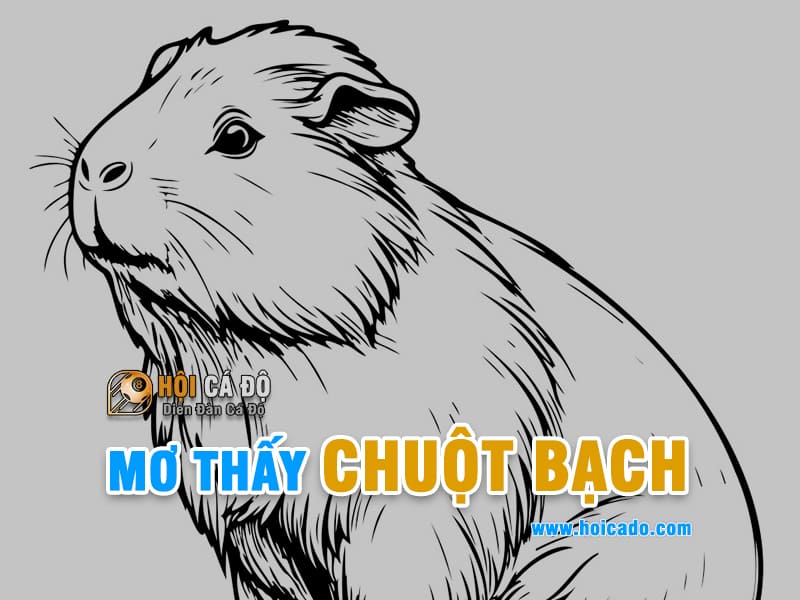Phân tích điềm báo mơ thấy chuột bạch