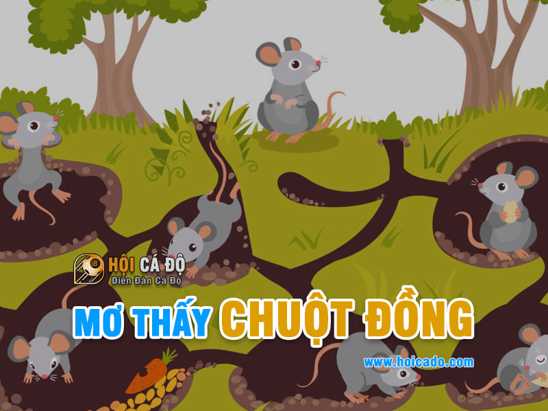 Phân tích điềm báo mơ thấy chuột đồng