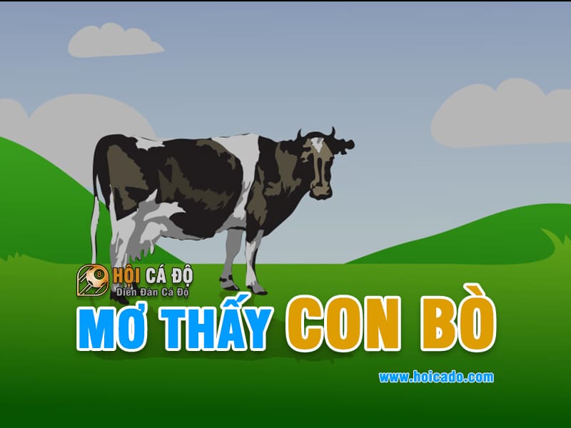 Giải mã điềm báo mơ thấy con bò