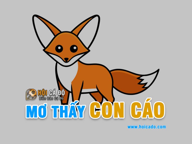 Giải mã điềm báo mơ thấy con cáo