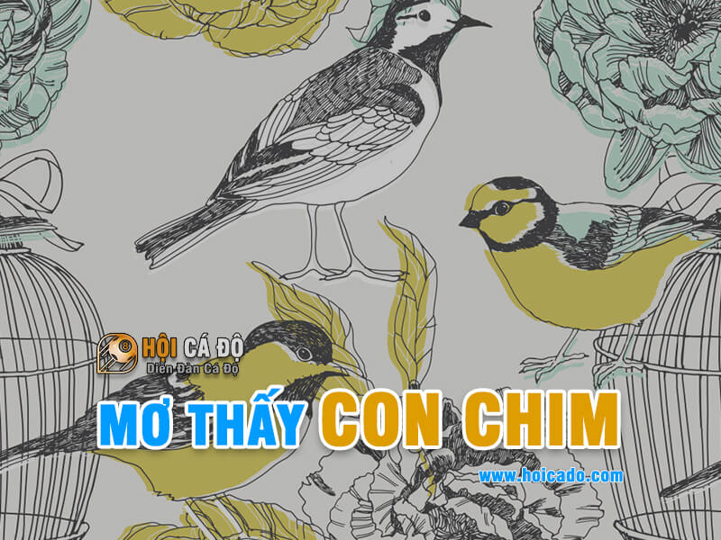 Giải mộng điềm báo mơ thấy con chim