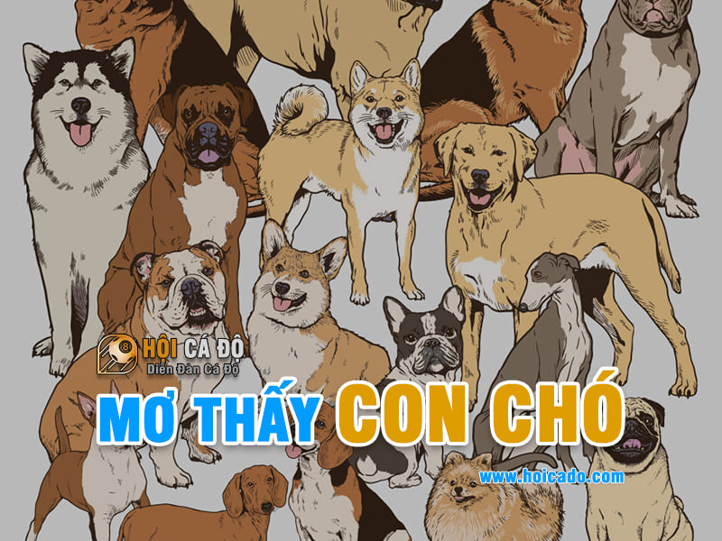 Phân tích giấc mơ thấy con chó