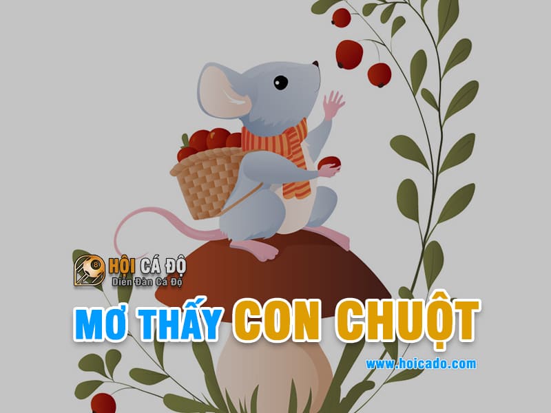 Giải mã điềm báo mơ thấy con chuột