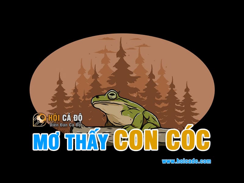 Điềm báo giấc mơ thấy con cóc