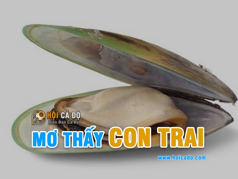 Giải mã điềm báo mơ thấy con Trai Trai