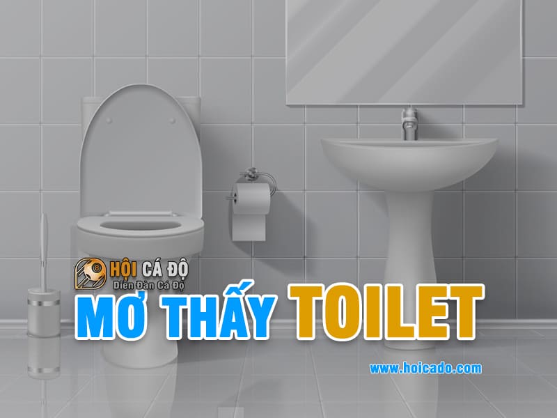 Mơ thấy nhà vệ sinh đánh con gì ?