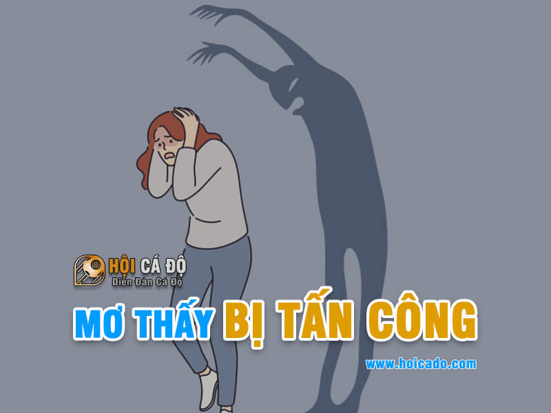 Mơ thấy bị tấn công đánh con gì ?