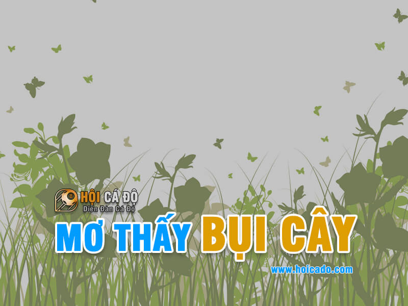 Mơ thấy bụi cây đánh con gì ?