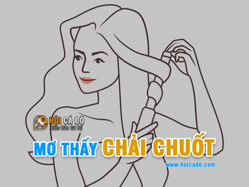 Mơ thấy chải chuốt đánh con gì ?