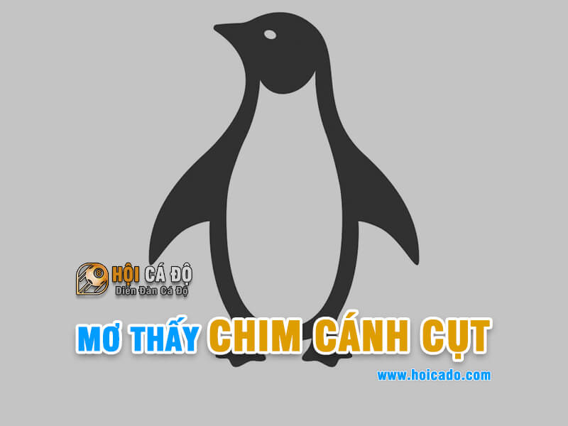 Mơ thấy chim cánh cụt đánh con gì ?