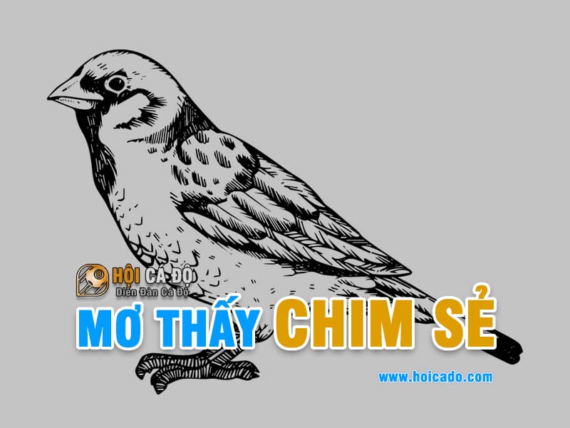 Mơ thấy chim sẻ đánh lô đề số nào ?