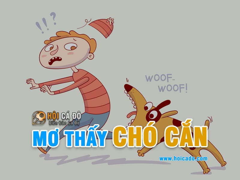 Phân tích điềm báo mơ thấy chó cắn
