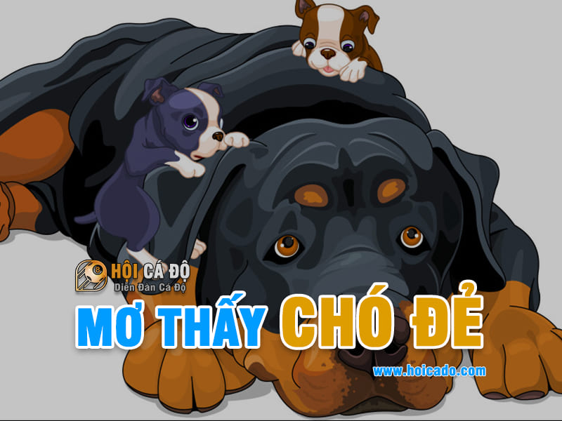 Mơ thấy chó đẻ đánh con gì ?