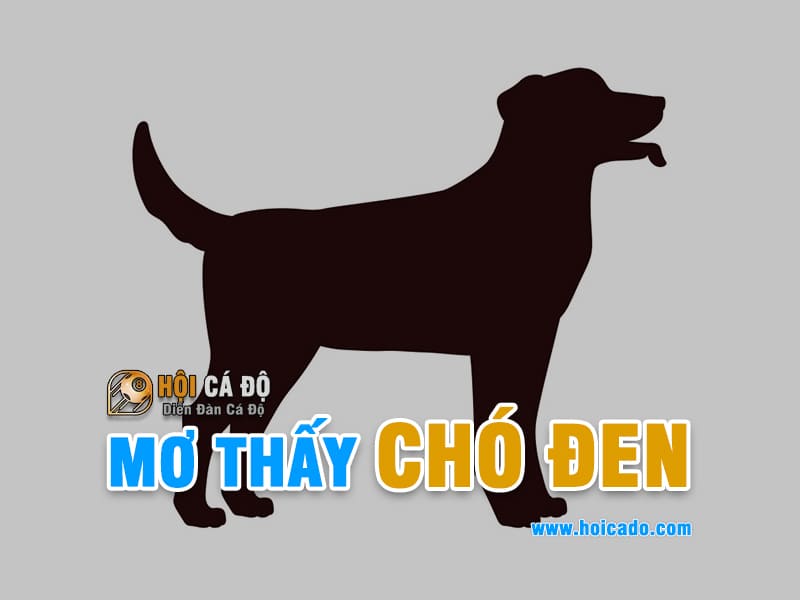 Mơ thấy chó đen đánh con gì ? 