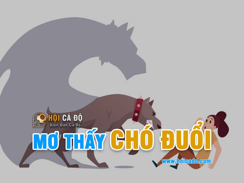 Ngủ mơ bị chó đuổi đánh con gì ?