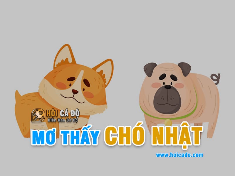 Mơ thấy chó nhật đánh Lô Đề số nào ?
