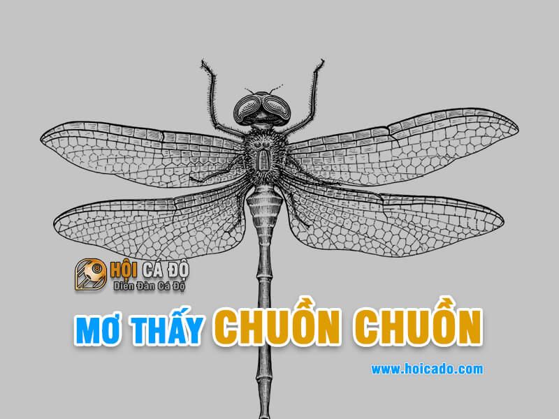 Mơ thấy chuồn chuồn đánh con gì ?