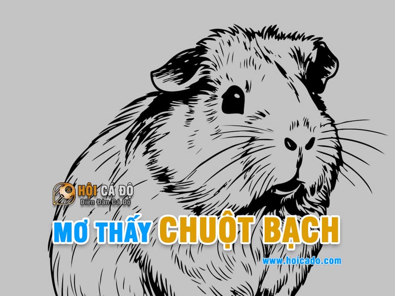 Ngủ mơ thấy chuột bạch đánh con gì ?
