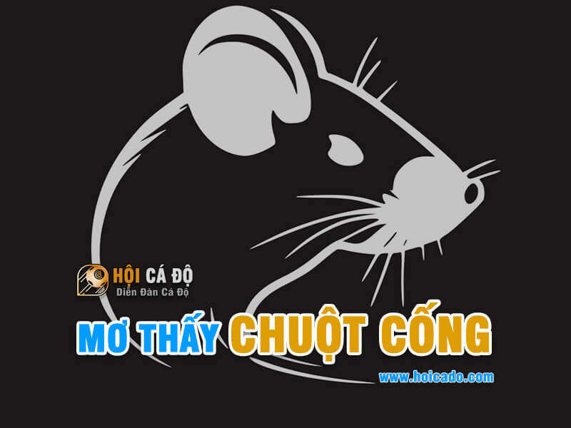 Mơ thấy Chuột Cống đánh con gì ?