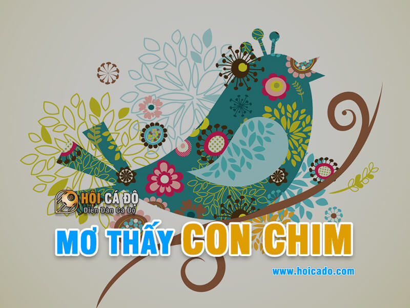 Mơ thấy con chim đánh con gì ?