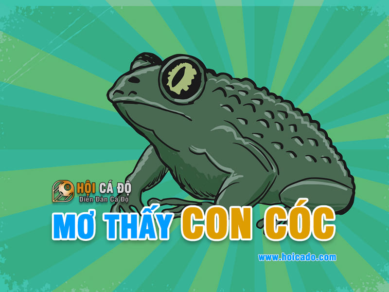 Giải mộng mơ thấy con cóc đánh con gì ?