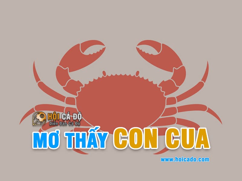 Phân tích điềm báo mơ thấy con cua