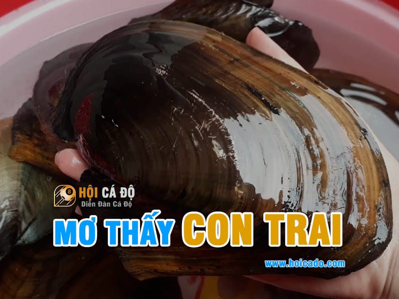 Mơ thấy con Trai Trai đánh con gì ?