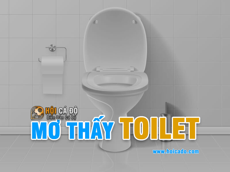 Phân tích điềm báo mơ thấy nhà vệ sinh